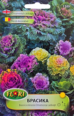 Семена Брасика Декоративно зеле | Макадамия 05