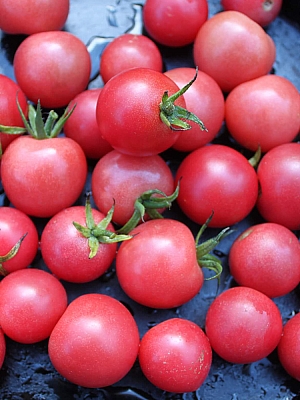 Семена чери домати Мини Мис – ароматни розови домати за градина и оранжерия | Макадамия 05