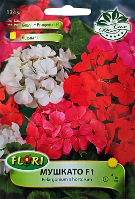 Семена Цветя Мушкато Микс | Макадамия 05