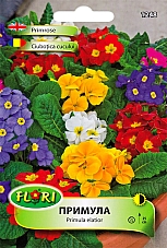 Семена Примула - Иглика 1248 | Макадамия 05