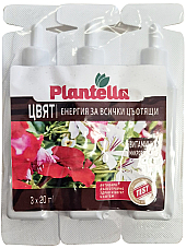 Плантела Цвят - Тор за цъфтящи растения  | Макадамия 05