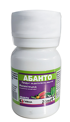 Абанто | Макадамия 05