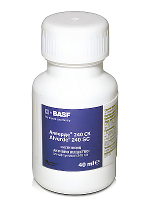 АЛВЕРДЕ 240 СК | Макадамия 05