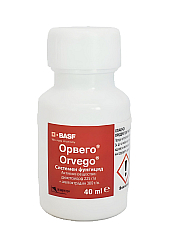 ОРВЕГО | Макадамия 05