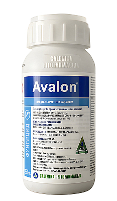 АВАЛОН - Системен фунгицид срещу сиво гниене, кафяво гниене и струпясване за над 10 култури | Макадамия 05