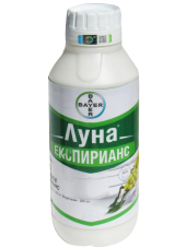 ЛУНА ЕКСПИРИАНС
