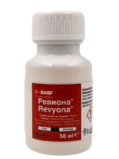 РЕВИОНА