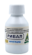 РИВАЛ | Макадамия 05