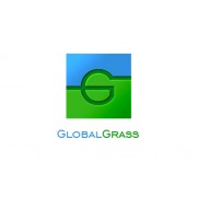 Global Grass