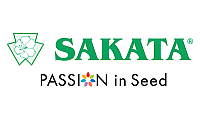 Зеленчукови семена Sakata добра цена | Макадамия 05