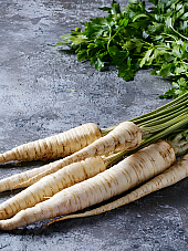 Семена Пащърнак | Макадамия 05