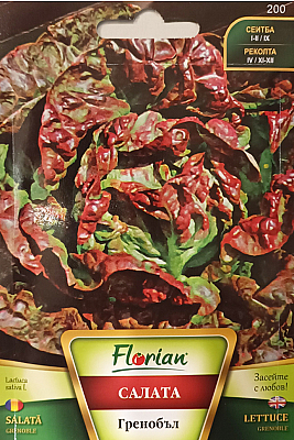 Салата Гренобъл | Макадамия 05