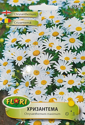 Цветя Хризантема 1336 | Макадамия 05