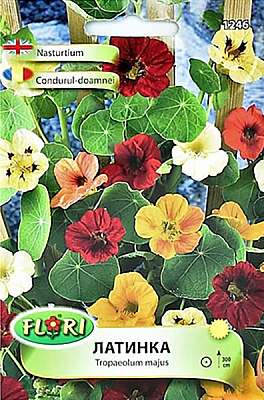 Цветя Латинка увивна - 1246 | Макадамия 05