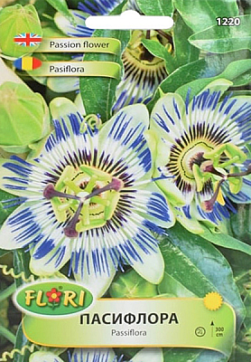 Цветя Пасифлора | Макадамия 05