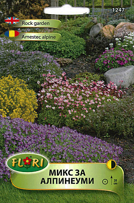 Цветя за алпинеум микс 1247 | Макадамия 05