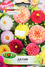 Цветя Далия 1226 | Макадамия 05