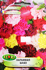 Цветя Карамфил Шабо 1232 | Макадамия 05