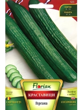 Семена салатни краставици Гергана