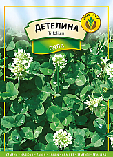 Семена Детелина Бяла Семена Детелина Бяла | Макадамия 05