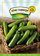 Семена краставици Герлинде (Тимор) F1 | Макадамия 05