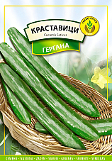 Семена краставици Гергана Семена краставици Гергана | Макадамия 05