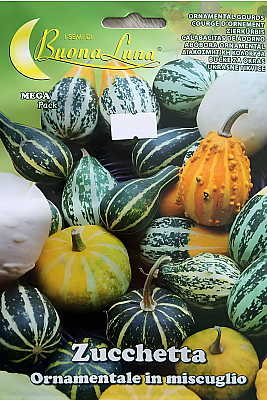 Семена Декоративна тиквичка | Макадамия 05
