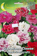 Семена Китайски карамфил | Макадамия 05