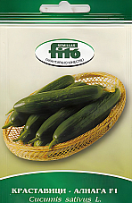 Семена краставици Алиага F1 Семена краставици Алиага F1 | Макадамия 05