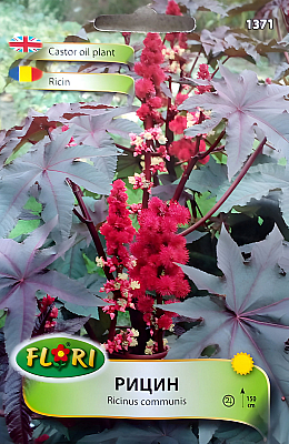 Семена рицин | Макадамия 05