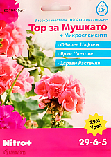 Тор за мушкато | Макадамия 05