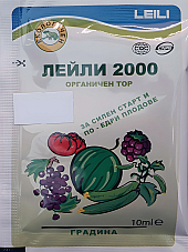 Лейли 2000 - силен старт и по-едри плодове Лейли 2000 - силен старт и по-едри плодове | Макадамия 05