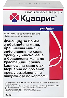 КУАДРИС 25 СК - широкоспектърен фунгицид Синджента | Макадамия 05